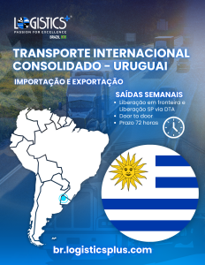 brazil transportation URUGUAI flyer